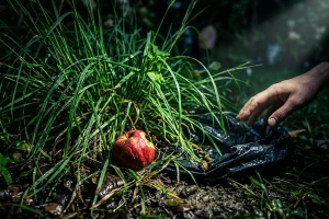 Il dettaglio in giardino che attira i ratti senza che tu te ne accorga
